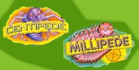 Arcade Classic 2: Centipede / Millipede
